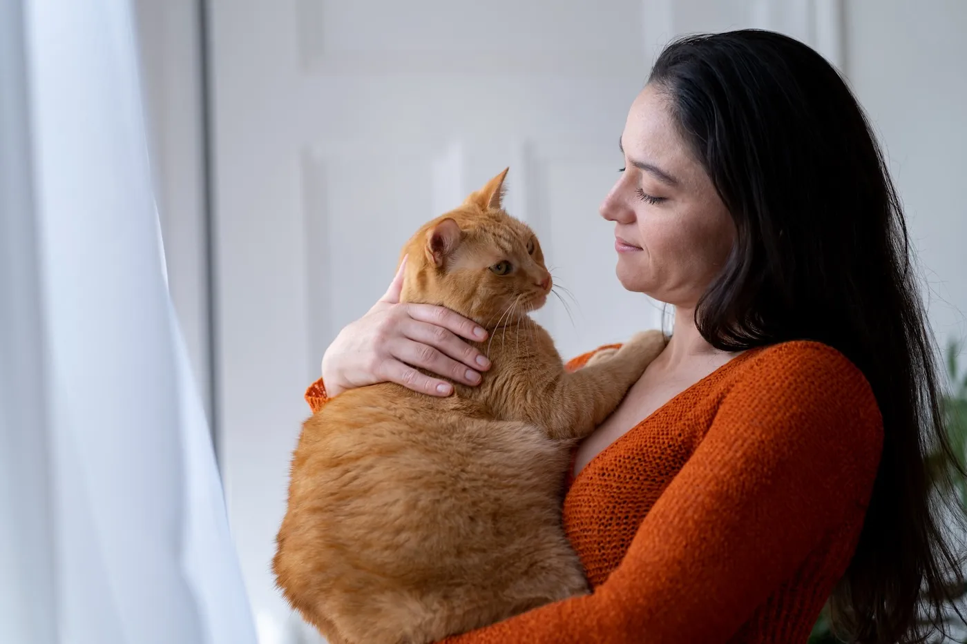 Woman holding her big orange cat at home.