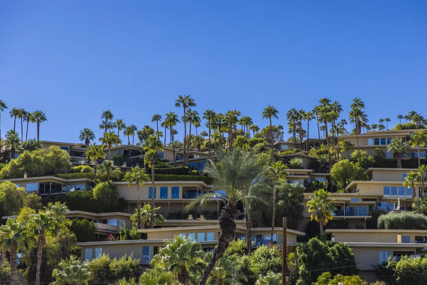 A typical Palm Springs, California neighborhood.