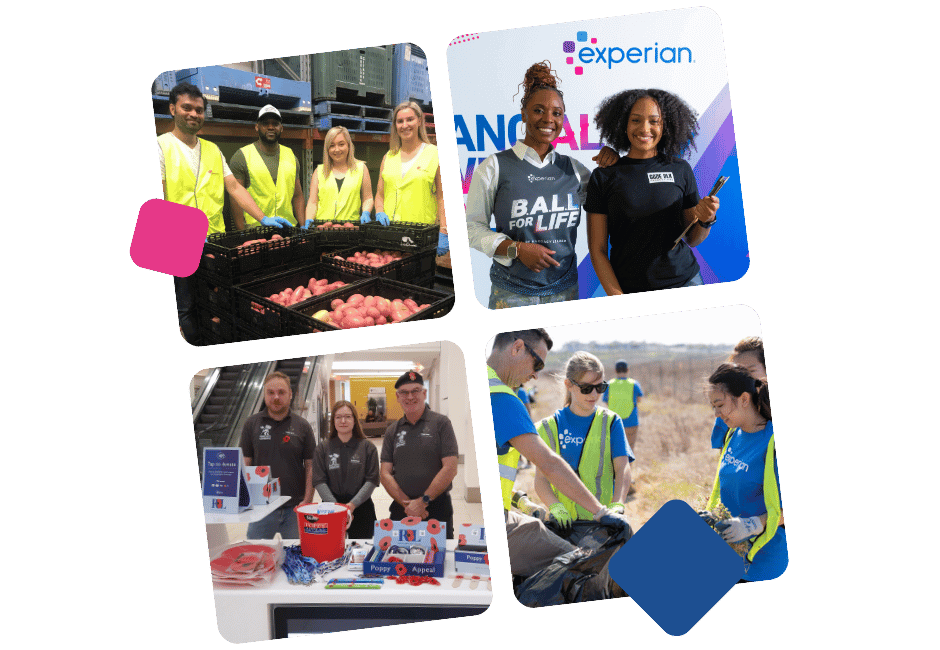 Group of Experian volunteers picking up trash on the side of the road