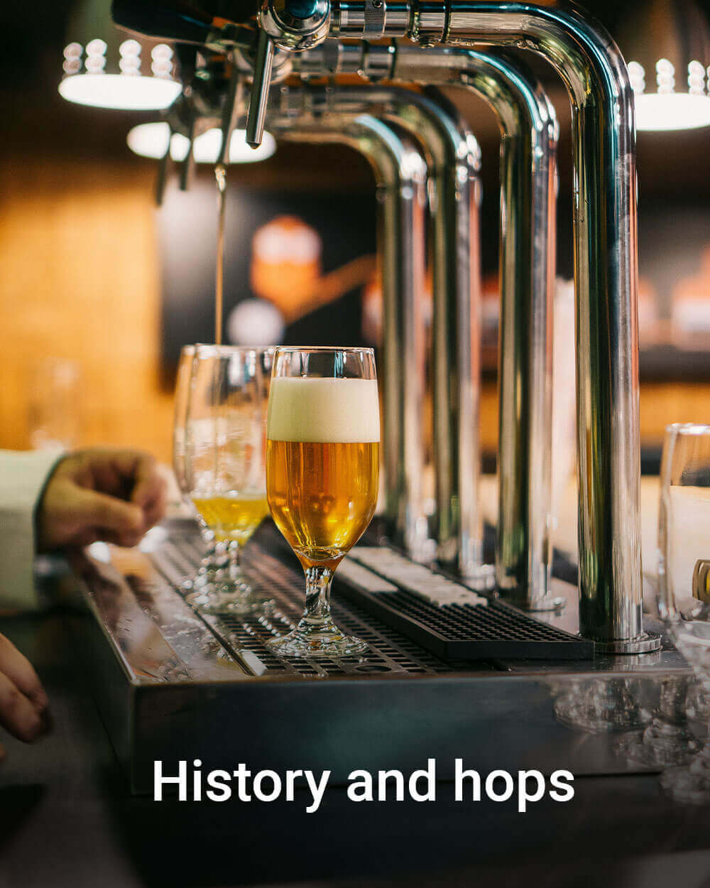 History and hops