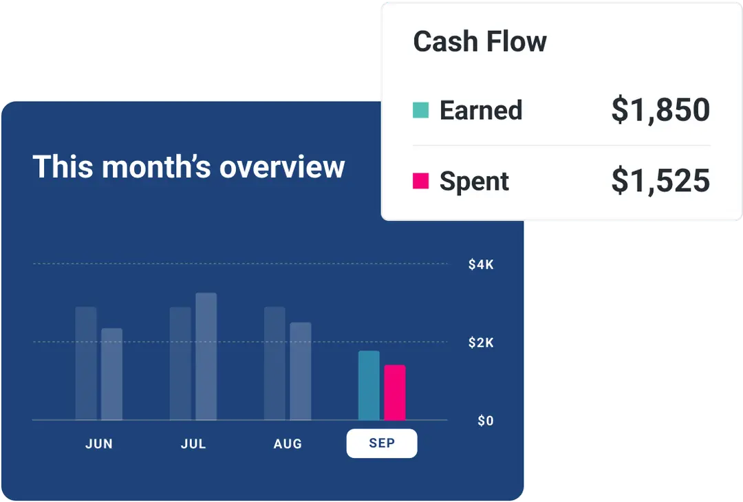 Graphic screen overview cash flow.
