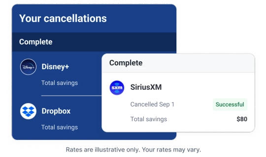 Graphic subscription cancellations with savings.