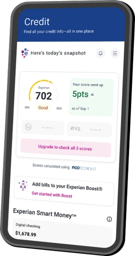 Graphic credit report dashboard phone.