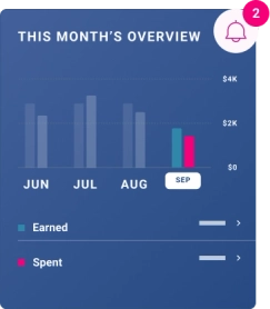 Graphic cash flow feature.