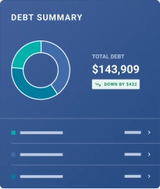 Graphic debt summary feature.