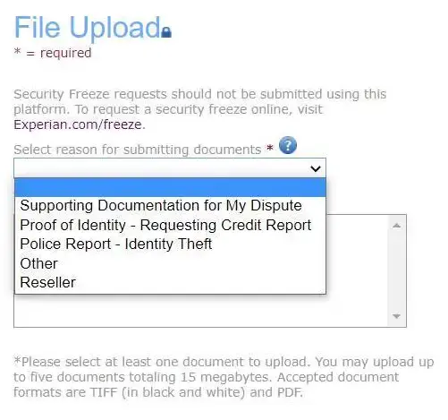 Example of the reason for your request